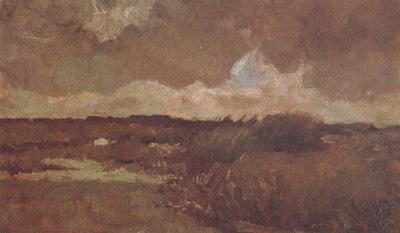Vincent Van Gogh Marshy Landscape (nn04) oil painting image
